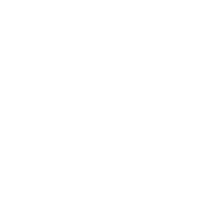 модель