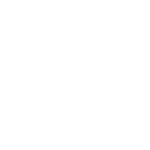 модель