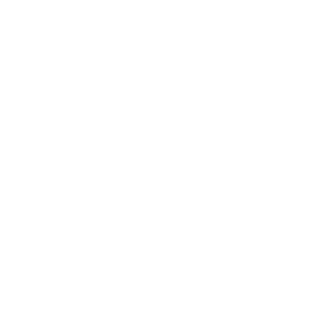 модель