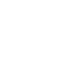 модель