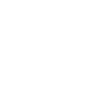 модель